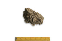 F 00029
          <br/>
          
          <br/>
          <em></em>